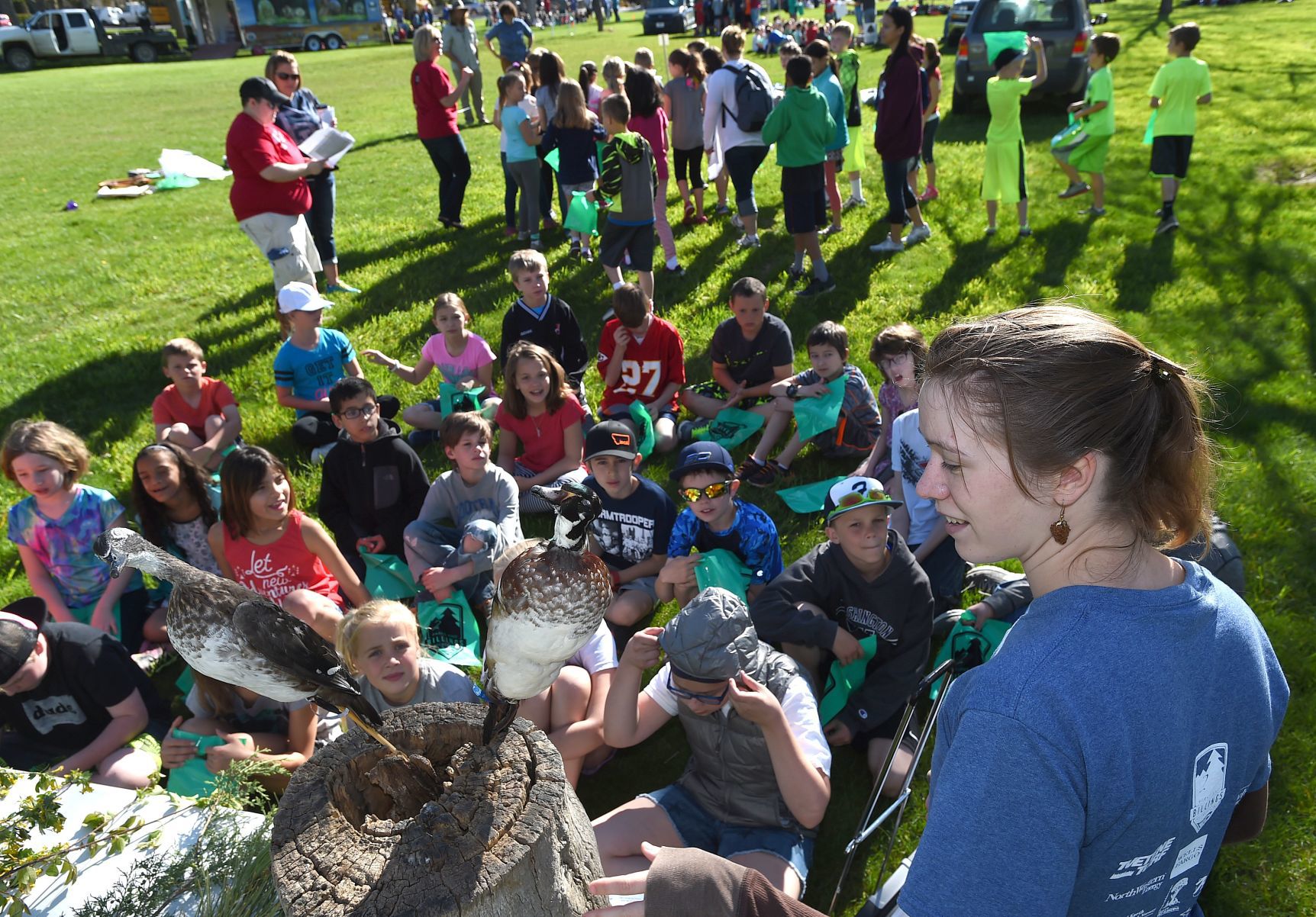 Arbor Day ducks